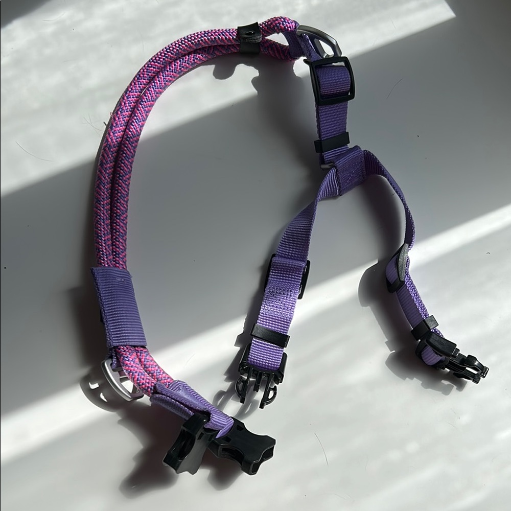 Vibrant Purple and Pink Dog Harness